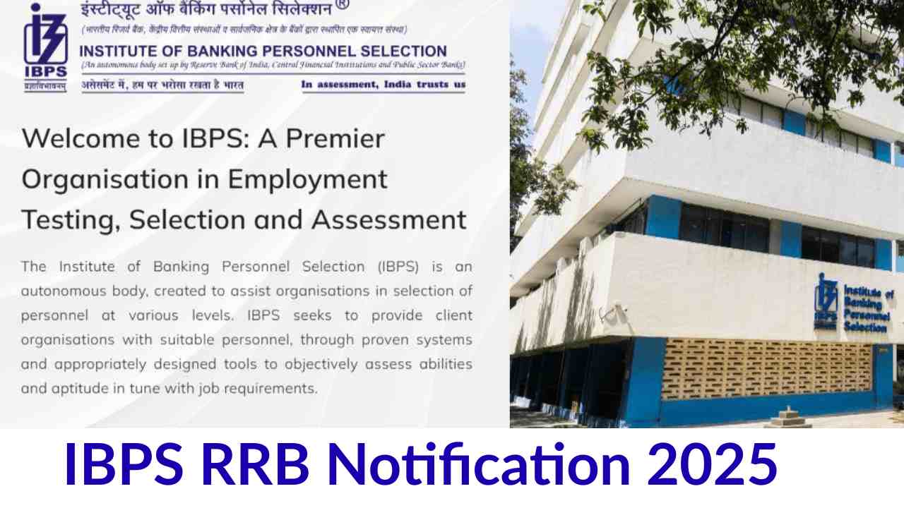IBPS RRB Notification 2025